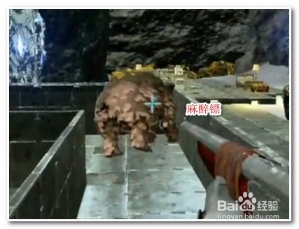 方舟恐熊怎么训