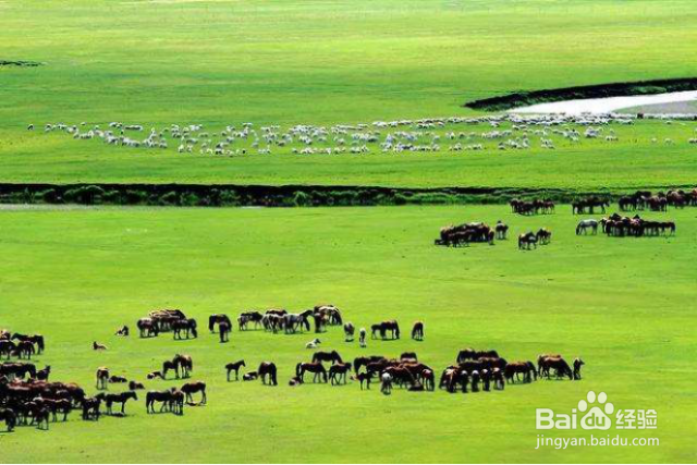 最适合秋季旅行的地方有哪些？