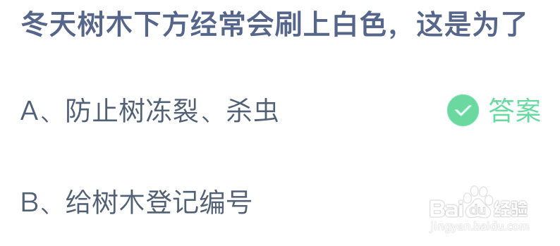 冬天树木下方经常会刷上白色这是为了