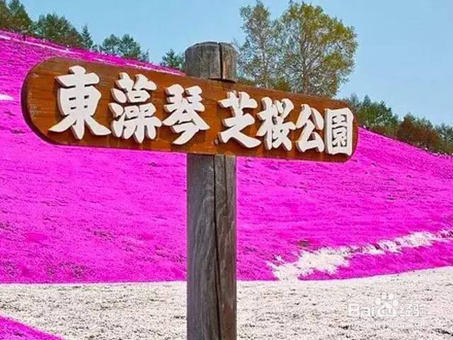 用对日本护肤品让你在北海道的夏天美如花！