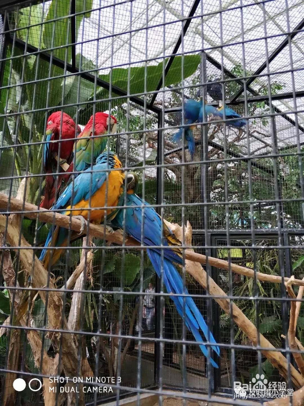 北京野生动物园一日游