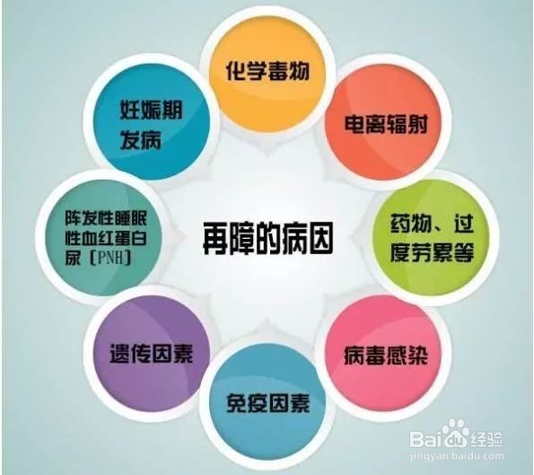 再生障碍性贫血,您该知道的知识