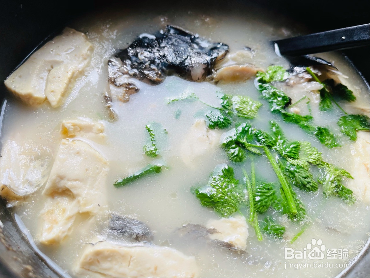 汤鲜味美的鱼头豆腐汤的做法