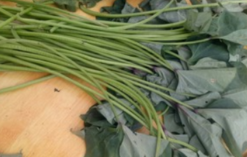 2020-08-25 11:21 这里带来的是:地瓜梗的做法,就是红薯叶的根茎部分