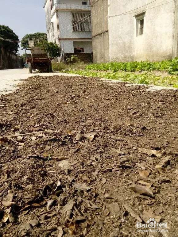 换盆旧土别扔，2个小技巧，旧土变新土！