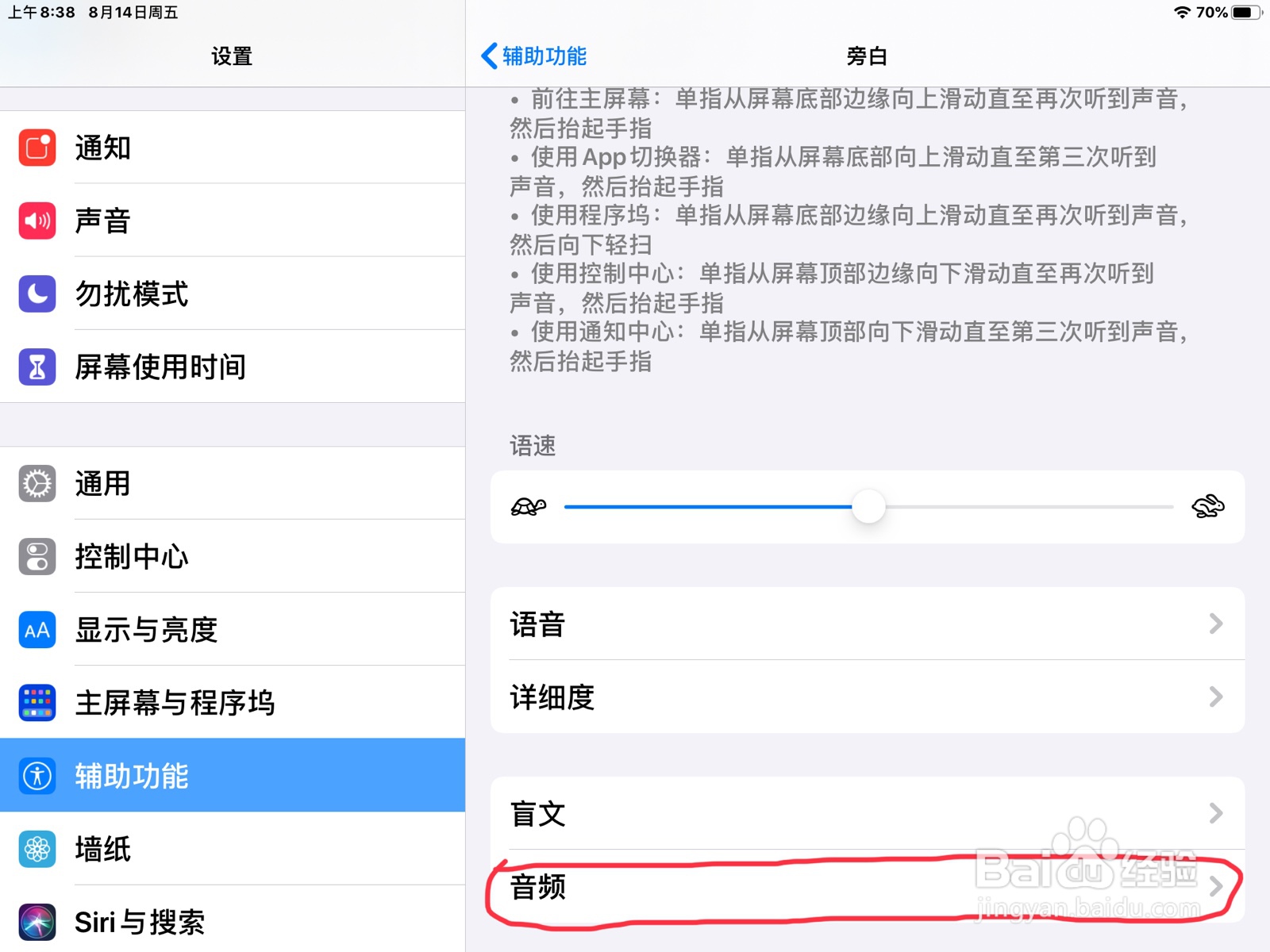 iPad怎么在旁白设置项目已载入的预览