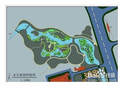 水生植物种植公司的选择技巧