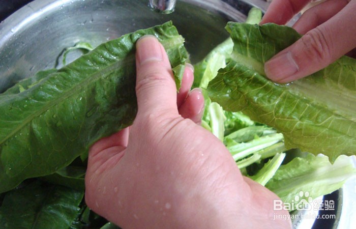 如何教孩子学会清洗油麦菜
