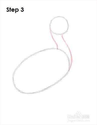 如何画一只鹈鹕——加菲的吃货生活