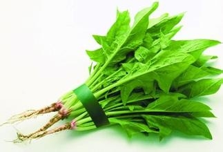 养生健康支几招