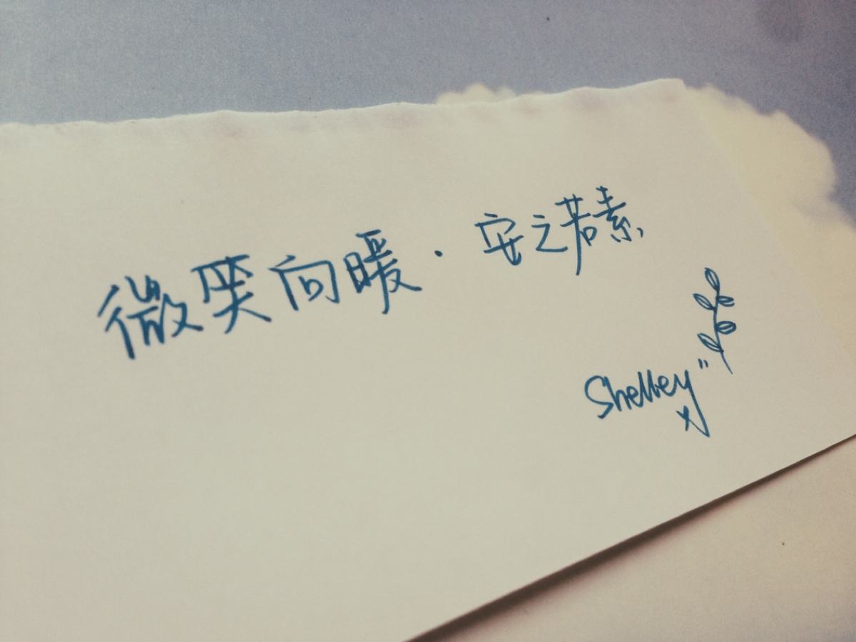 微笑向暖,安之若素下一句