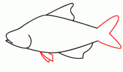 小白鱼简笔画图片