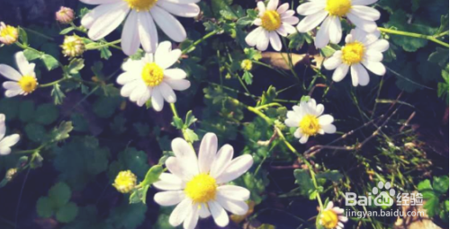 生气憋屈怎么发朋友圈