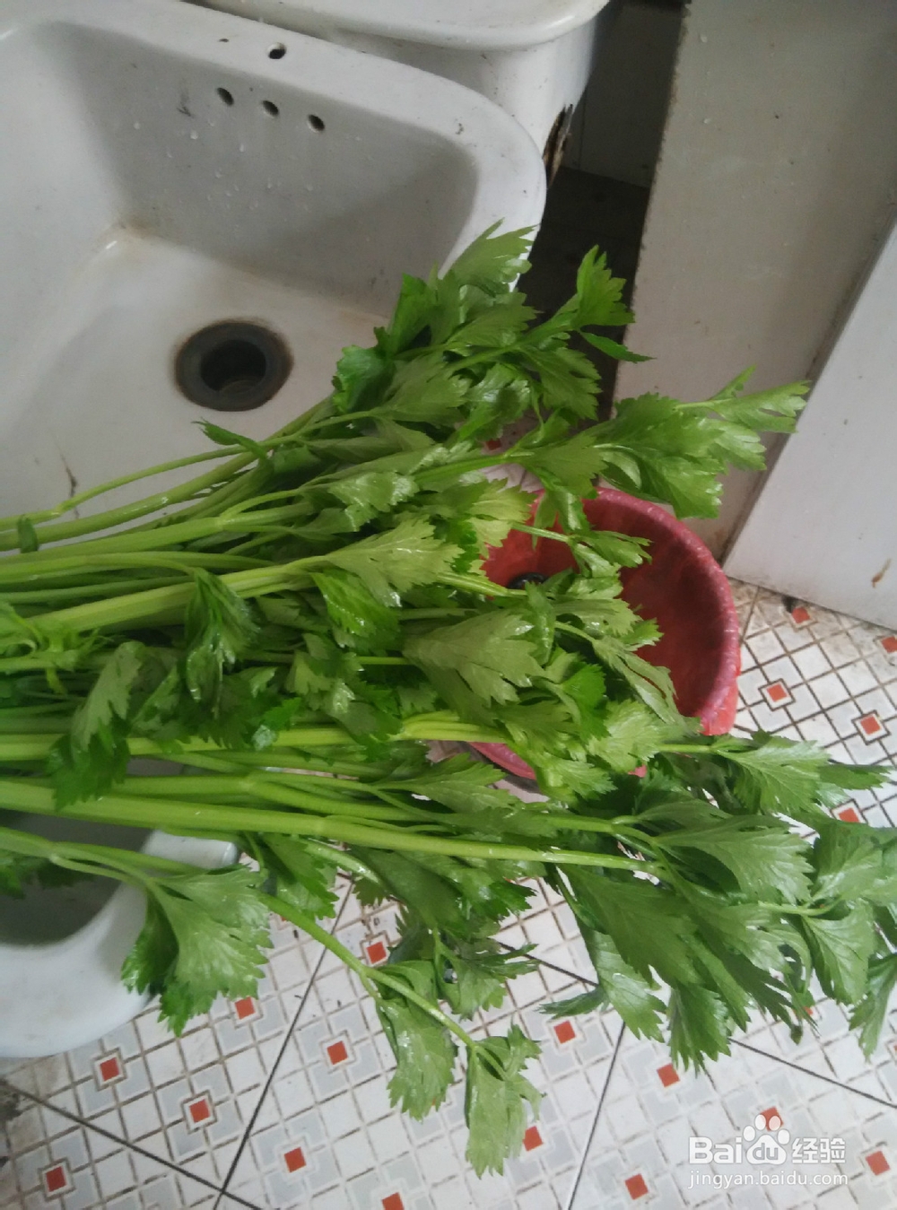 如何用炒菜锅蒸芹菜叶