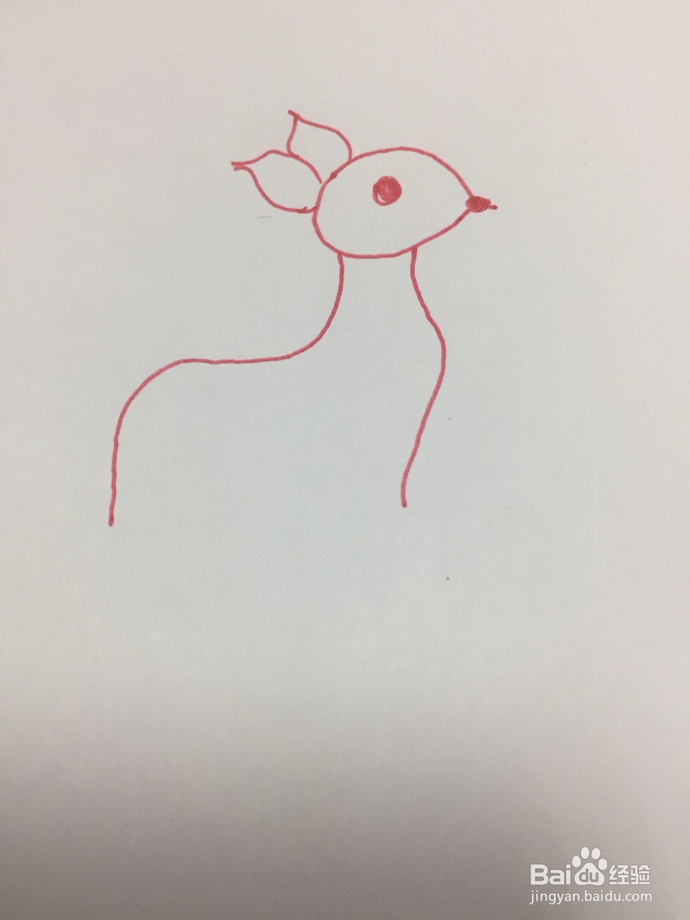 简笔画:梅花鹿的画法