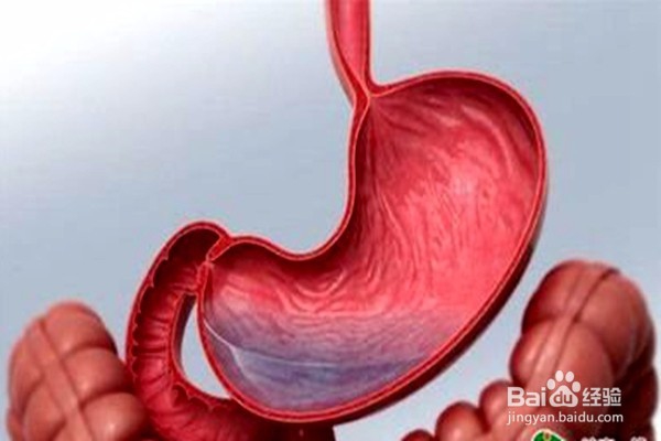 做胃镜前注意事项