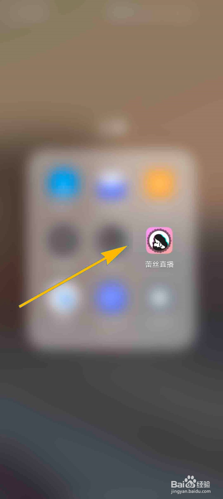 蕾丝直播app怎么查看时装系统介绍