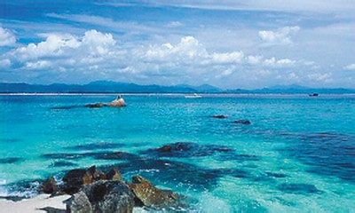 饮食文化素菜的做法