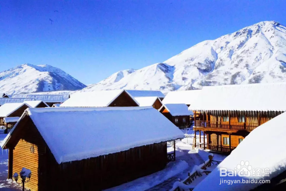 喀纳斯元宵冬游攻略