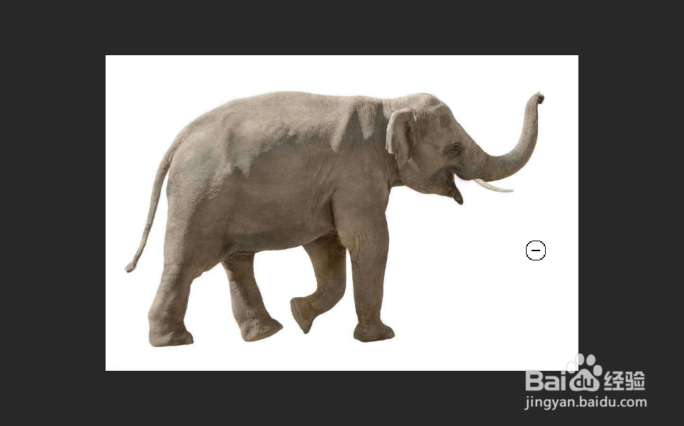 Photoshop如何将制作黑白大象
