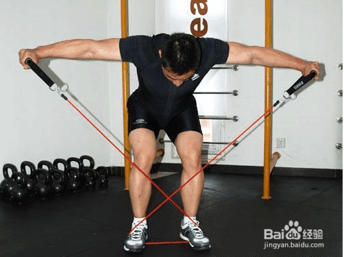 练三角肌后束方法步骤