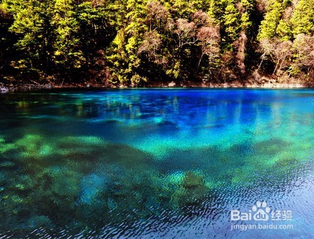 我带着你,你带着钱系列之九寨沟旅游攻略