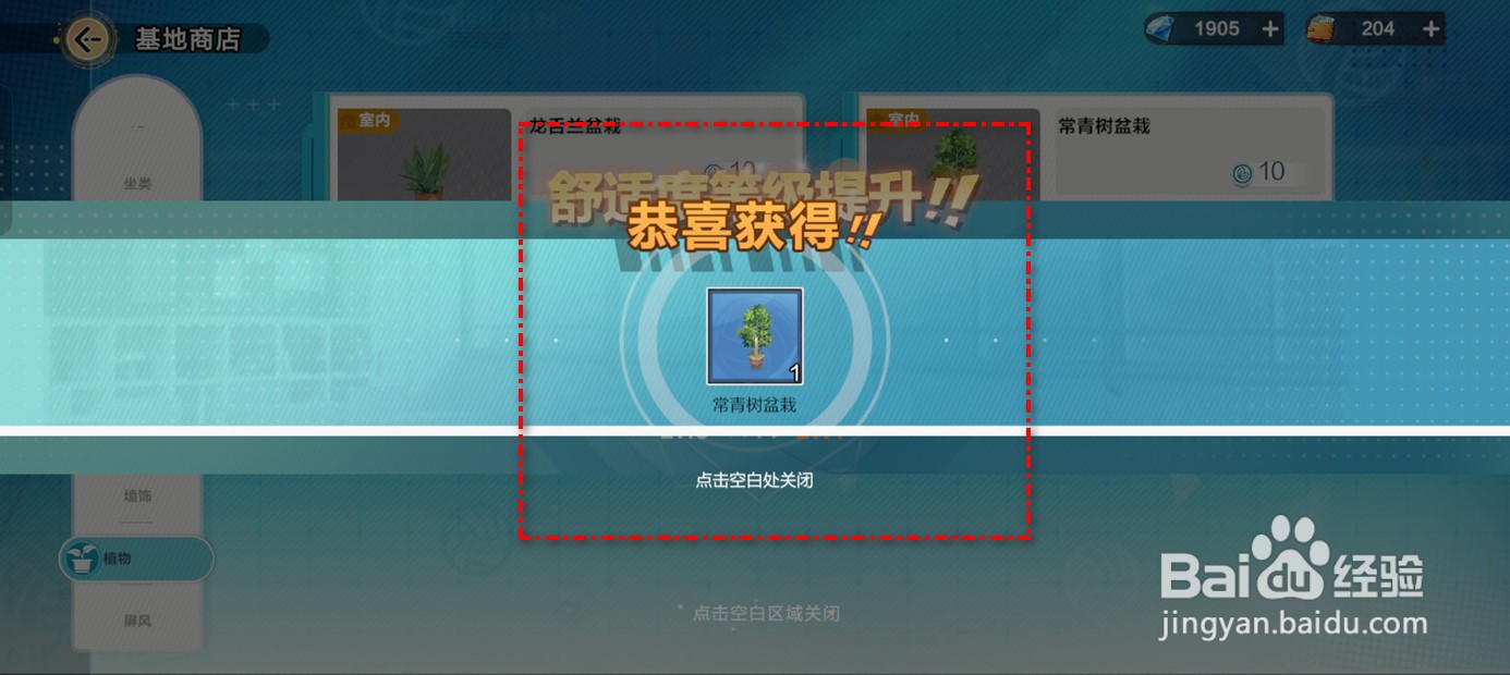 排球少年新的征程如何获得常青树盆栽