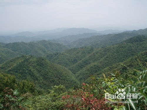 信丰县金盆山自然保护区旅游观光