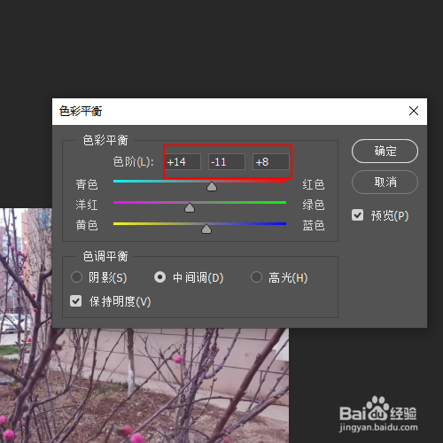如何将桃花图片调的更加艳丽