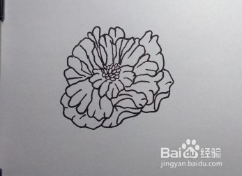 线描画：怎么画石榴花如何画石榴花（步骤）
