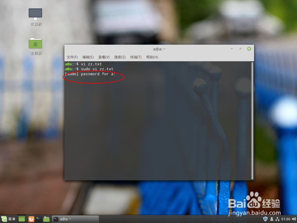 linux 编辑文件与修改文件名
