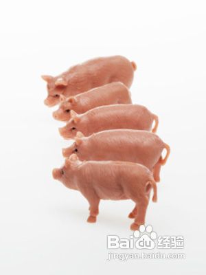 你知道不排便的危害吗？