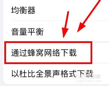 iPhone14如何打开手机音频选项的蜂窝下载
