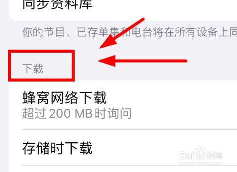 iPhone14如何打开博客软件的蜂窝数据下载