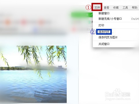 怎样快速保存多张网页图片