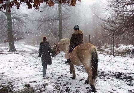 使用PS滤镜绘制雪景图
