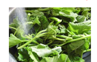 炝炒南瓜尖的做法步骤