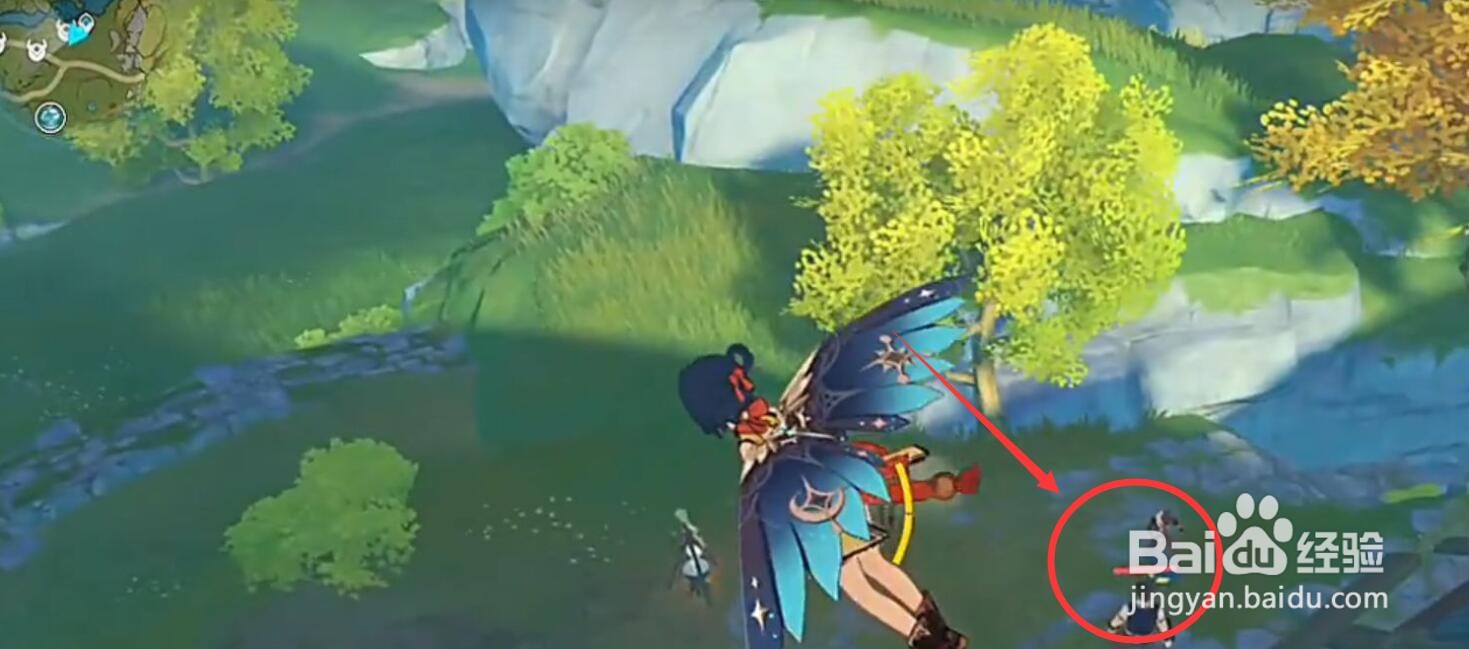 原神盗宝团怎么找