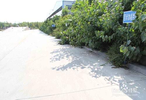 小路考的标准项目：[2]百米加减挡