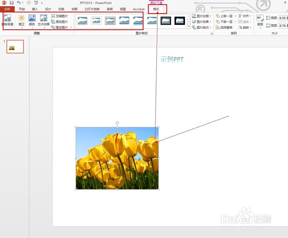 在PPT中如何插入图片