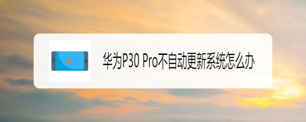华为P30 Pro不自动更新系统怎么办