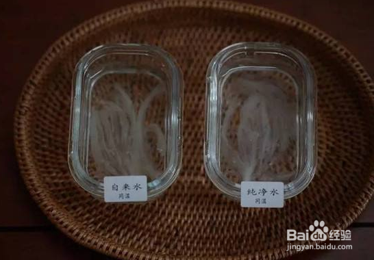 燕窝真假有什么区别，怎么鉴别？