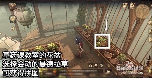 哈利波特不同的植物有不同用途草药学奥秘是无限