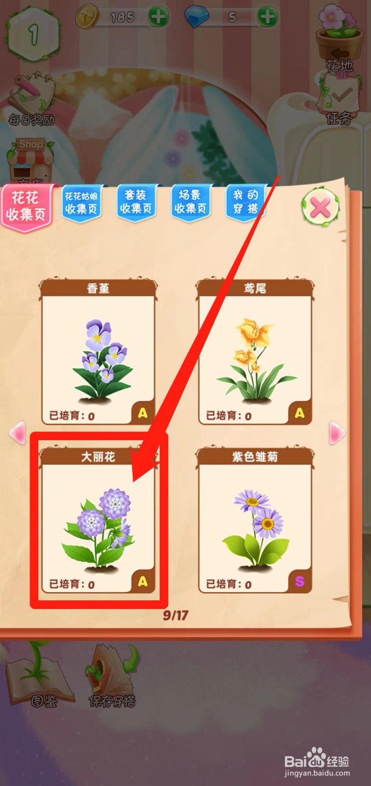 花花姑娘之魔法花园如何查看大丽花稀有度