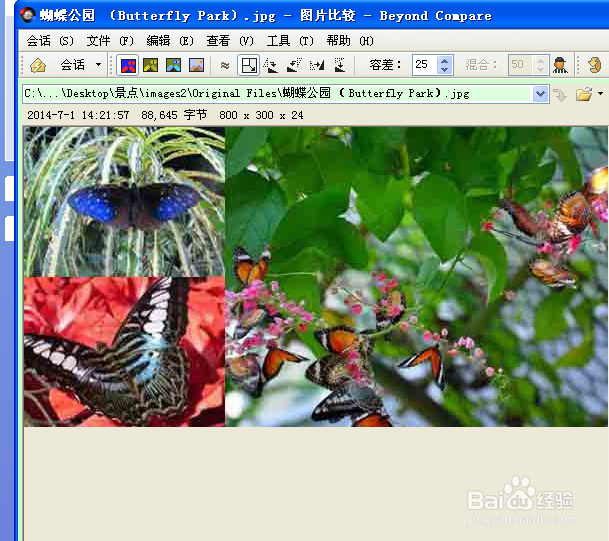 Beyond Compare怎么对比图片差异