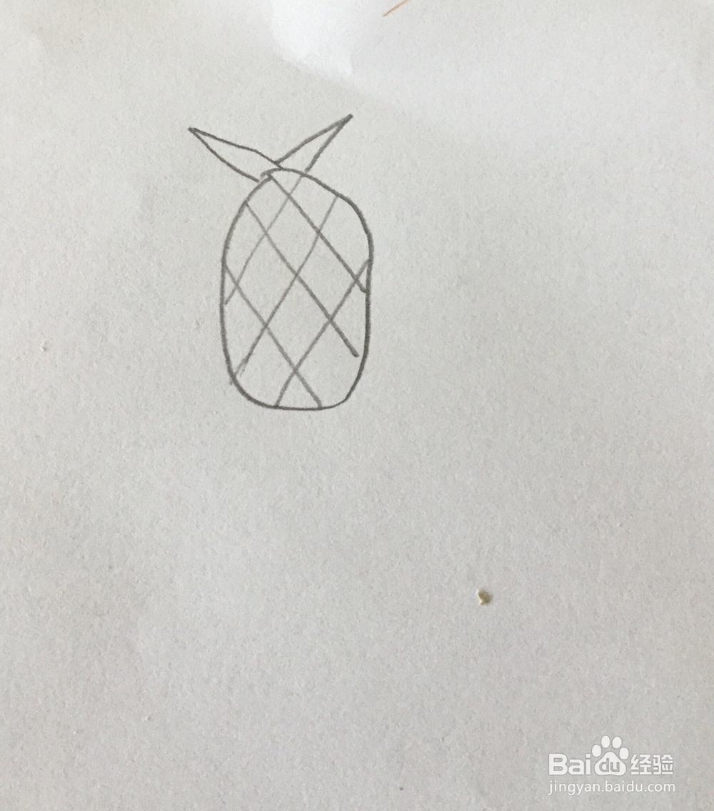 菠萝简笔画教程