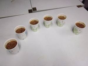 家里有蚂蚁怎么做能除根