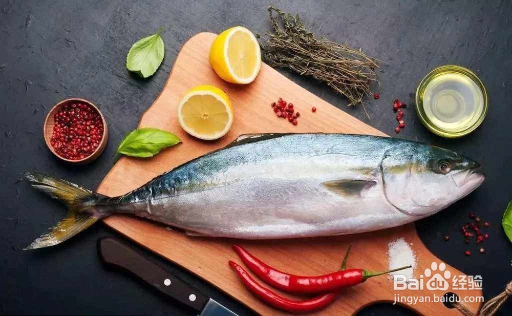 南油钓鱼金枪鱼技巧