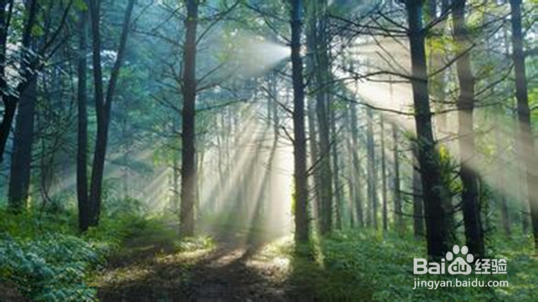 夏季正确养生的九个方法