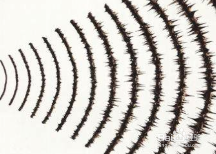 宠物店狗吠声扰民不知道怎么办